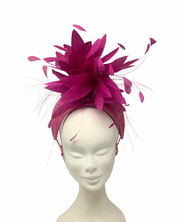 'Venus' Crown Pink