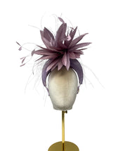 'Venus' Crown Mauve