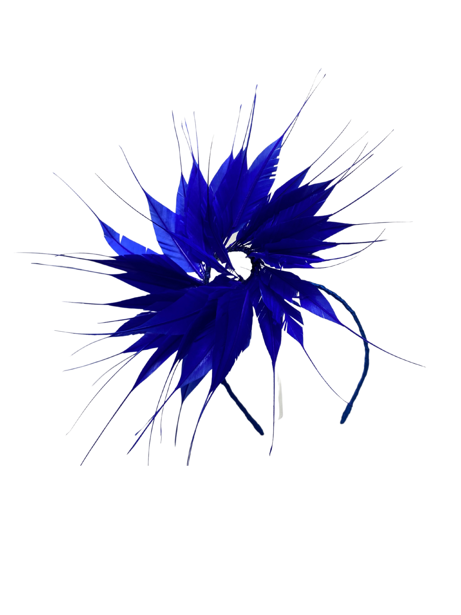 bluefeather1.png