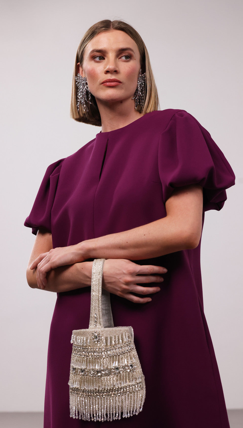 Silver Embellished Clutch Bag