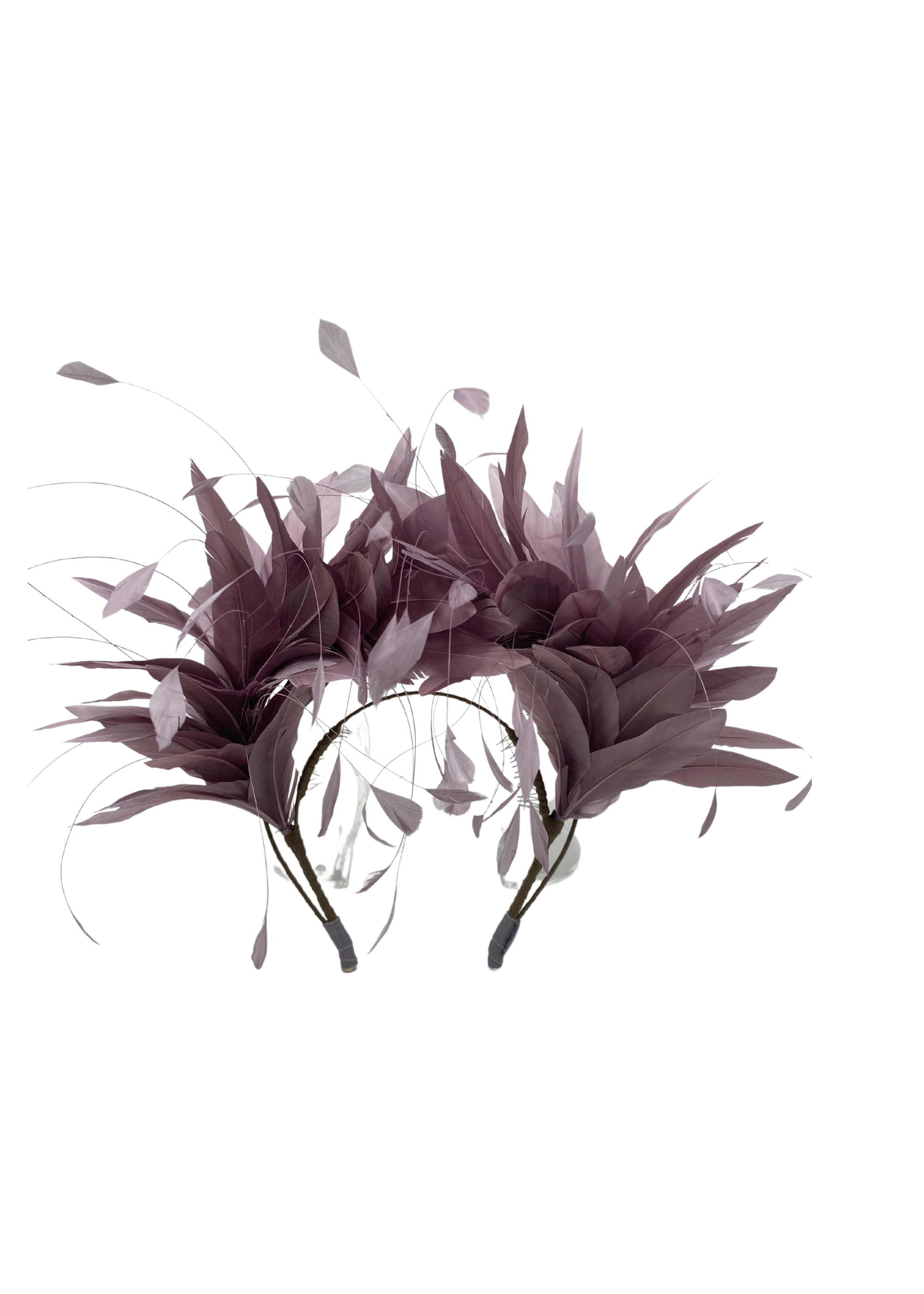 purplefeather1.png
