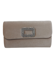 Champagne Velvet Clutch
