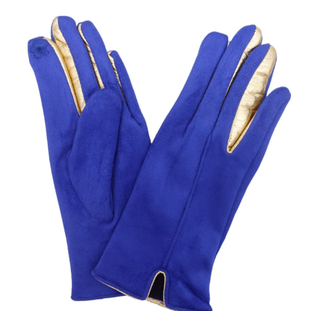 BlueGloves.jpg
