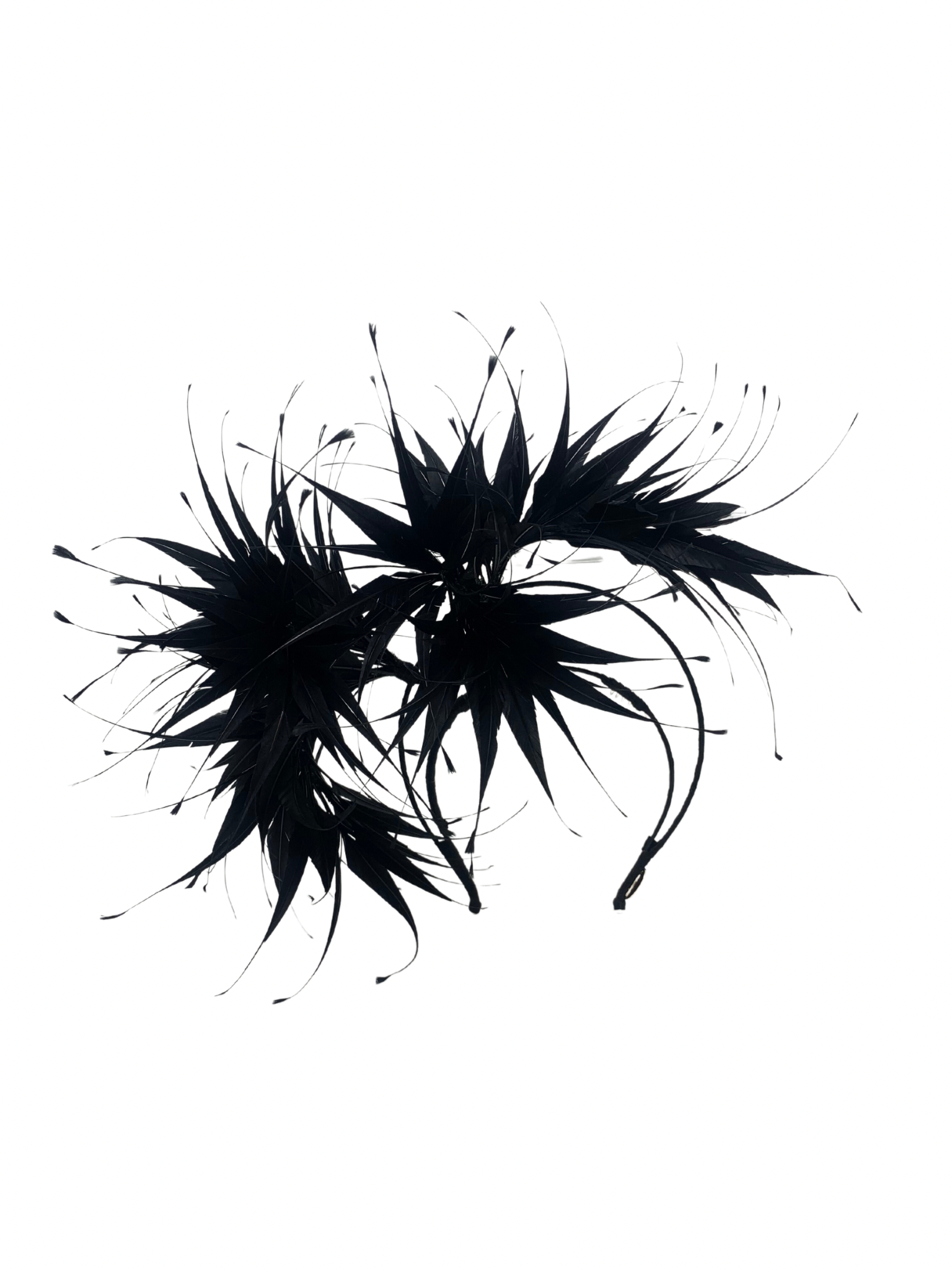 'Artemis' Black