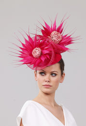 'Dahlia' Pink
