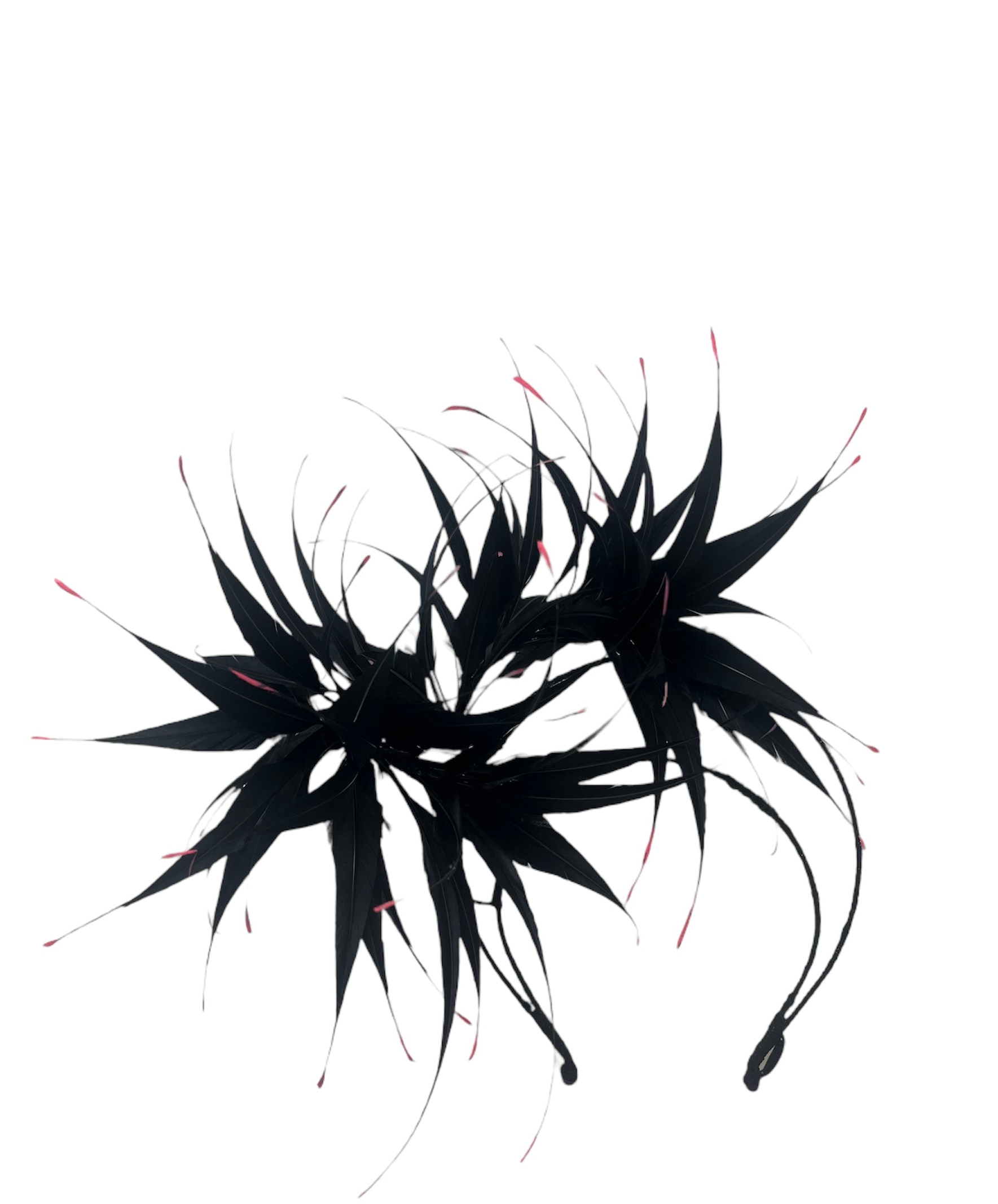 'Rue' Black