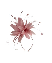 'Rhea' Pink