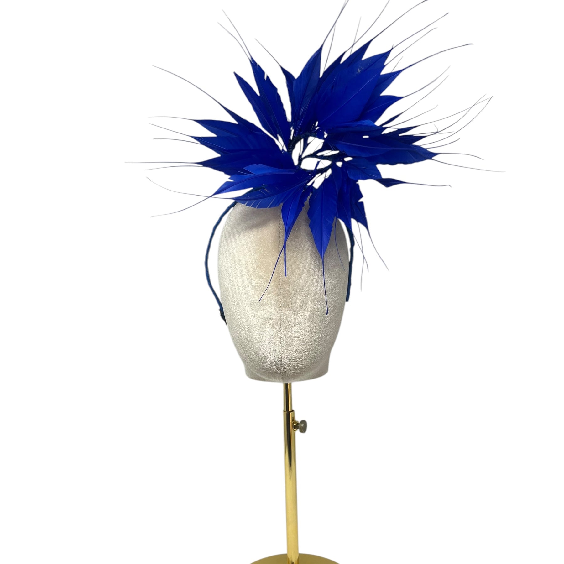 image1_47.jpg