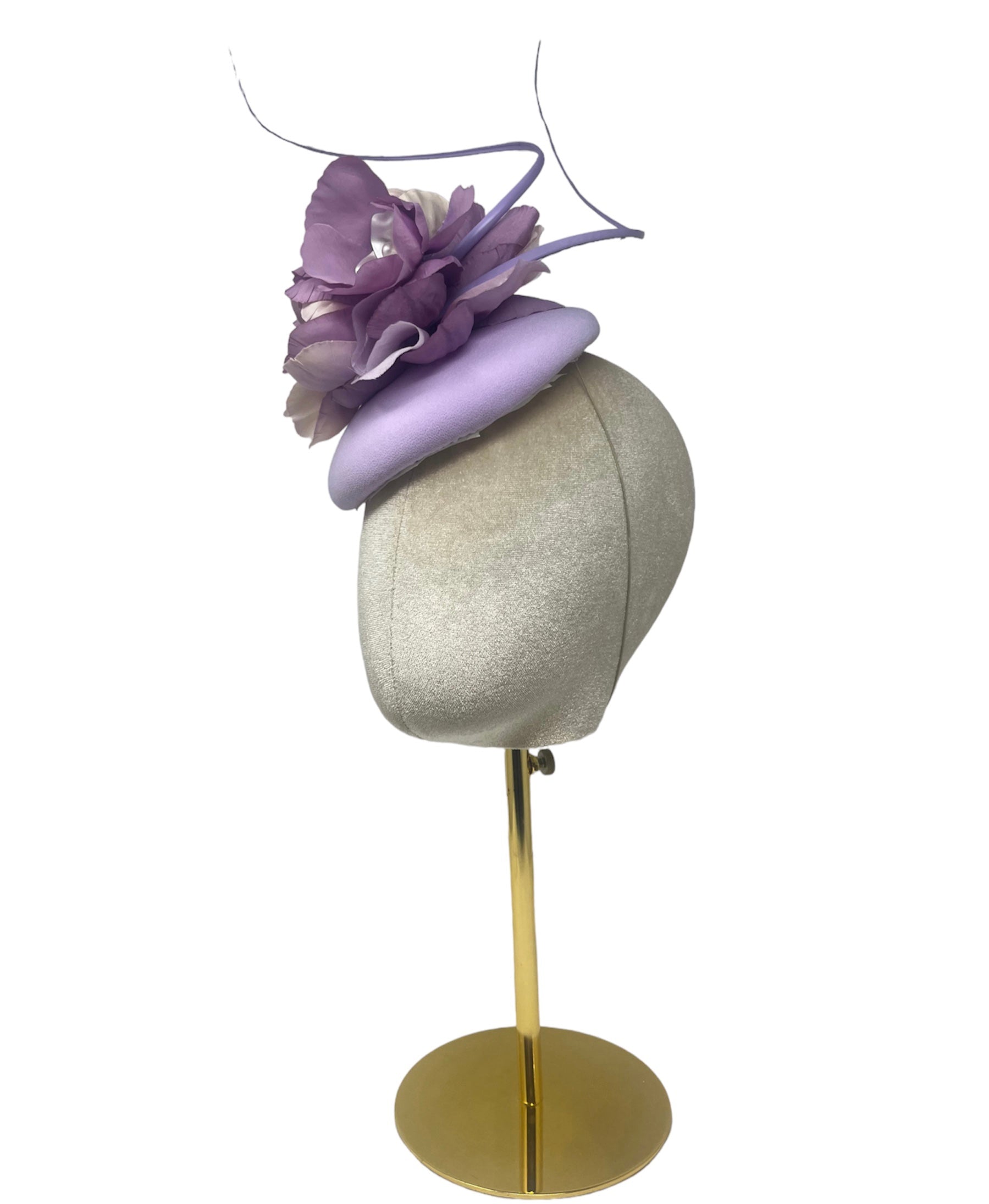 'Ashley' Lavender
