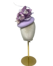 'Ashley' Lavender