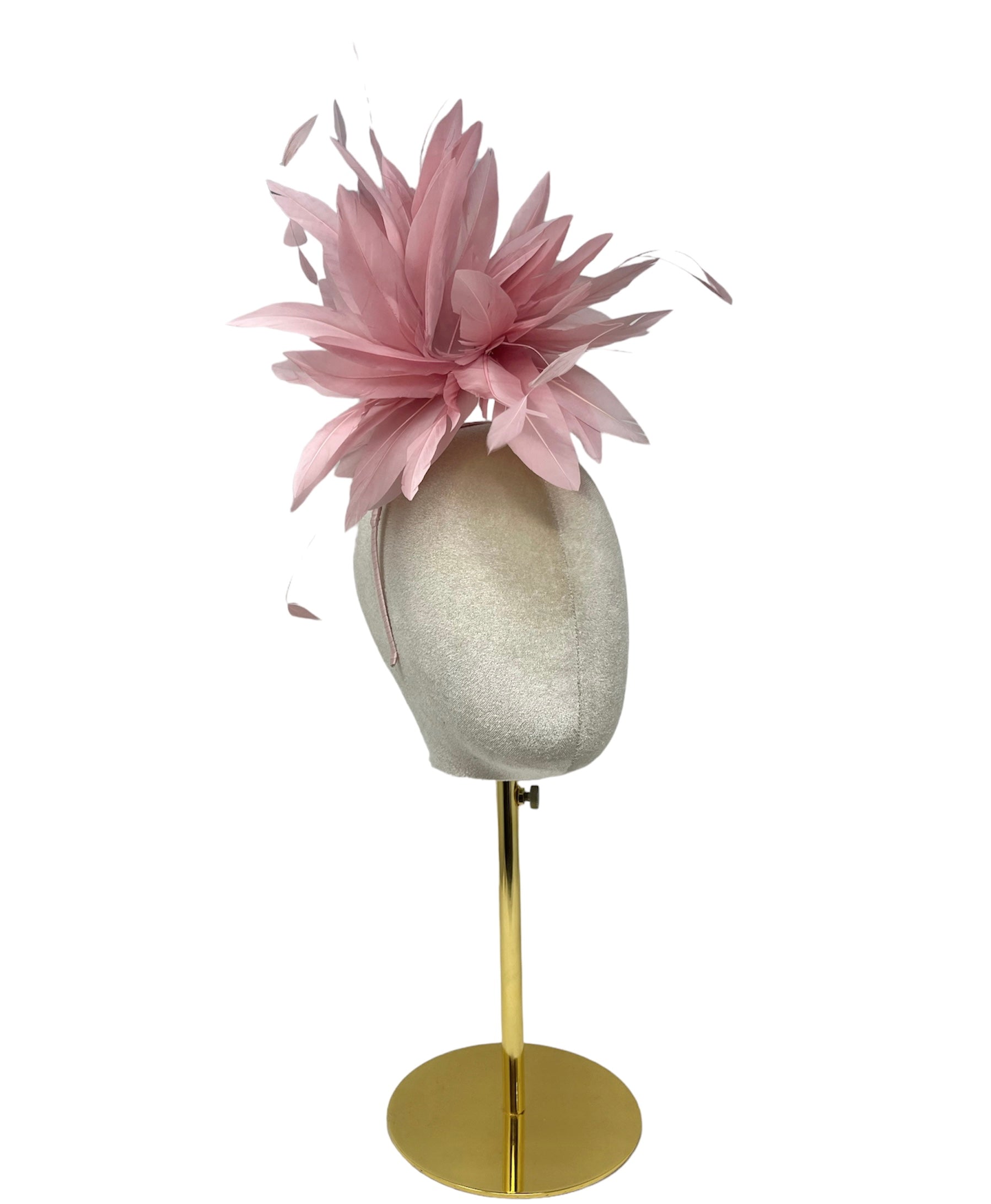 'Rhea' Pink