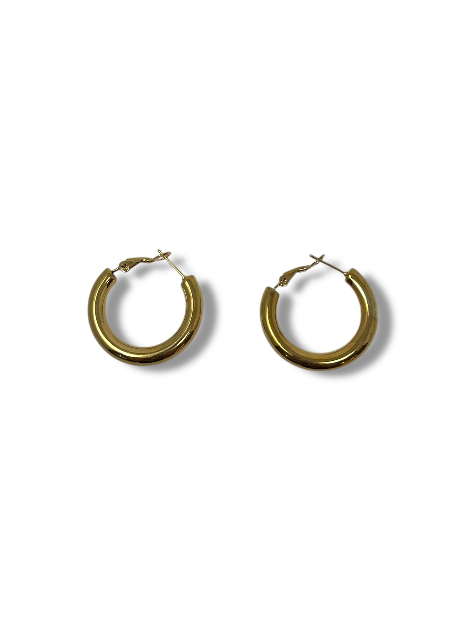 Small Gold Hoop Earrings