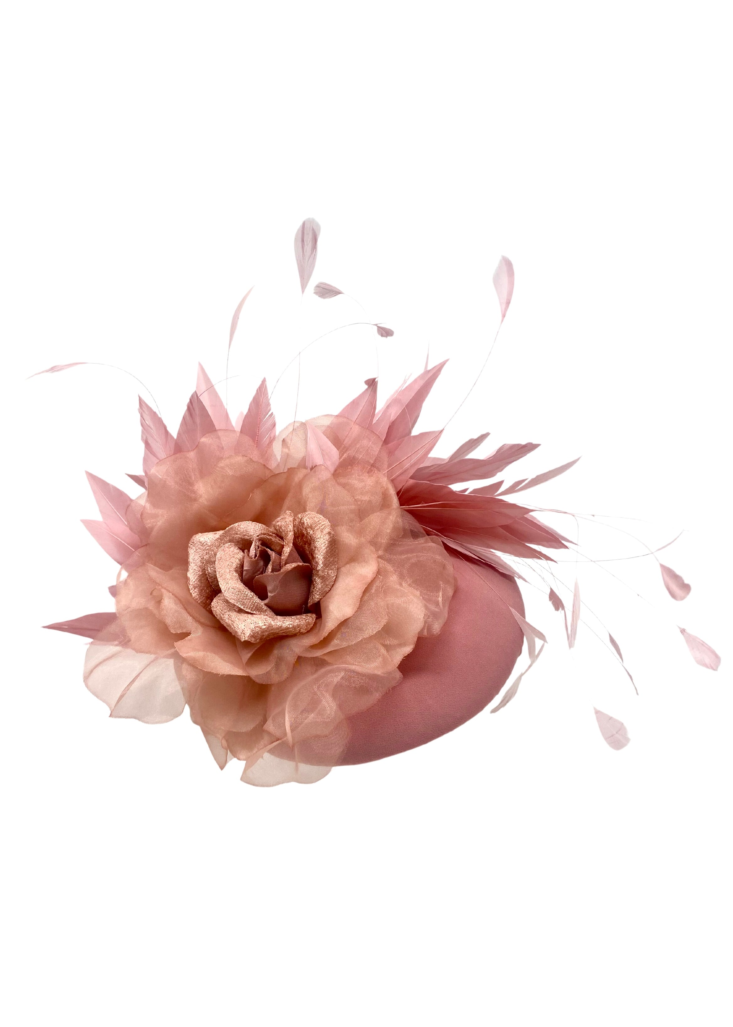A56DF2C3-2357-4A2A-B8B6-F8AAF8FABBCF.jpg