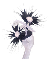 'Dahlia' Black