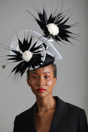 'Dahlia' Black