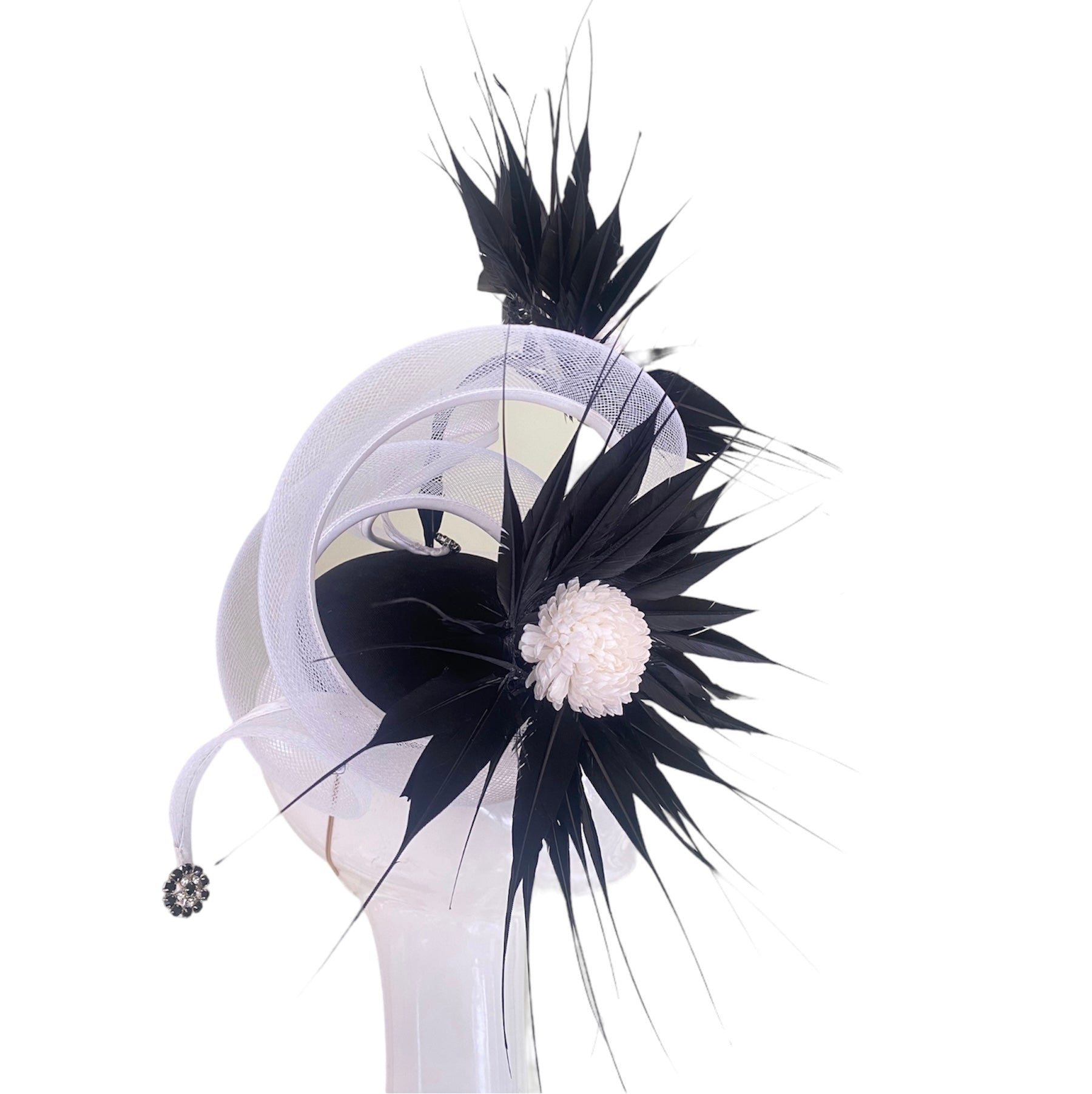 'Dahlia' Black